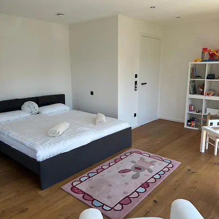 Outstanding 9 Bedroom With Pool In * Monaco di Baviera
