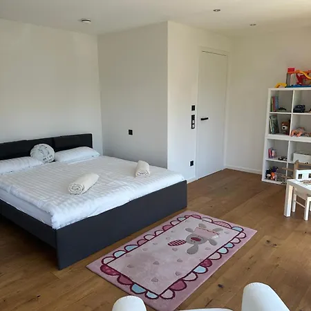 Outstanding 9 Bedroom With Pool In * 뮌헨